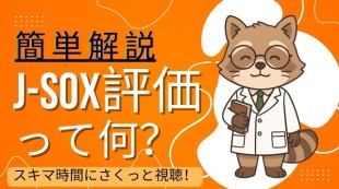 【入門者向け】J-SOX評価って何？