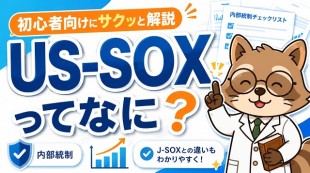 US-SOXってなに？