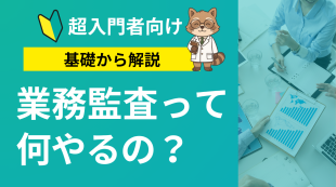【超入門者向け】業務監査って何やるの？